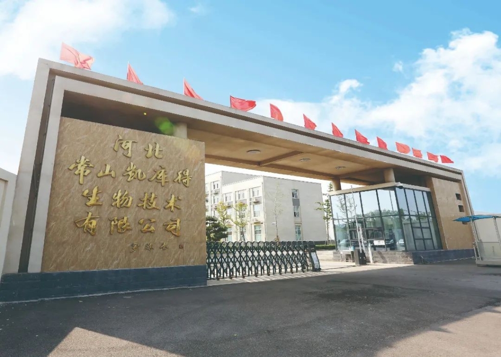 �ӱ���ɽ����ø����ƴ�Ʒ��Ŀ��������